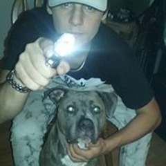 kody