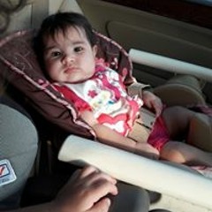 Hany Anwer