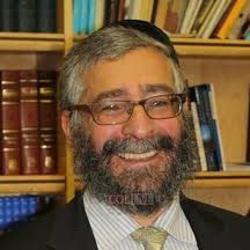 Rabbi Sholem Perl’s avatar