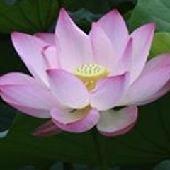 Nhạc trẻ thời 8x 9x - Ai nghe lại chắc đã già :)