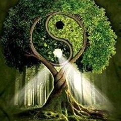 Autumn Sierra Rogers