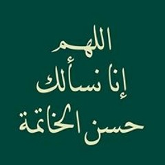 دينا محمد