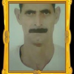 محمود محمد فضل