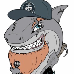 Haien Følabraskiss 4