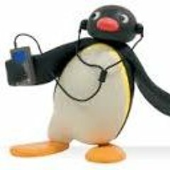 Jens Kristian Elvenes