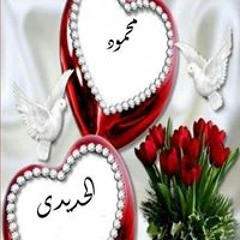 محمود الحديدي