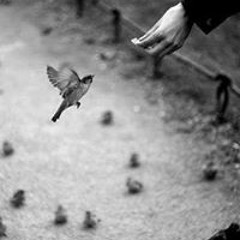 سورةالشعراء (عبد الرحمن العوسي)