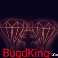 BugdKing 17