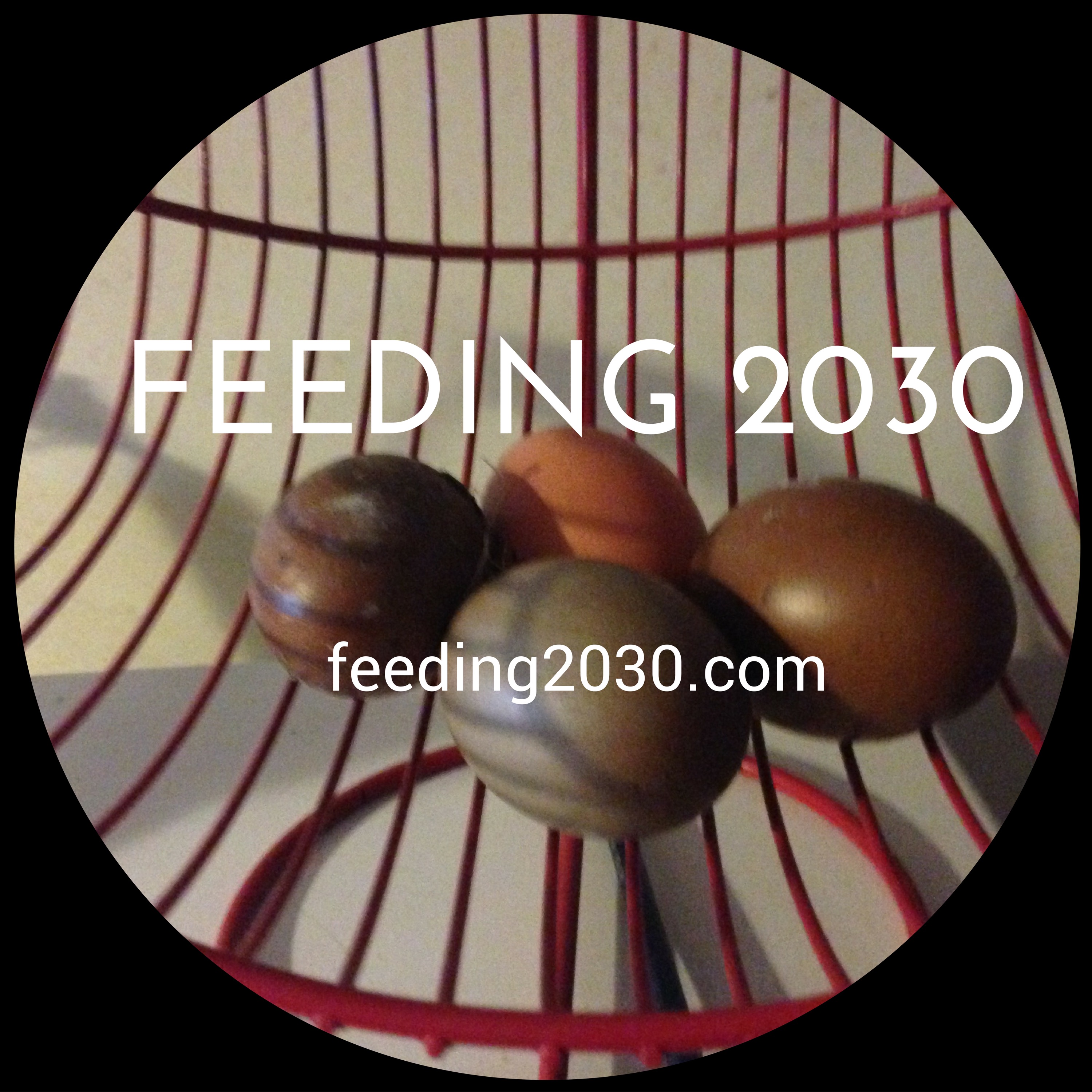Feeding 2030