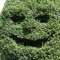 grossmary