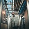 Micah Banks