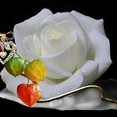 Blanca Flor