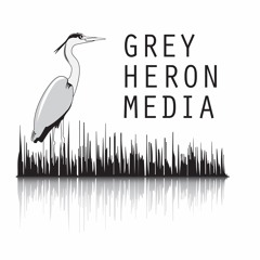 Grey Heron Media