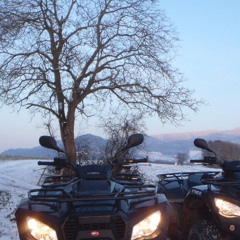 Quad “Virus” Freiburg