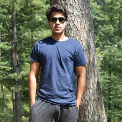 Shahzaib Naseer