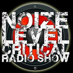 Noize Level Critical