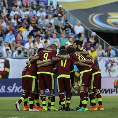 SeleVinotinto