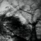 Vico_11