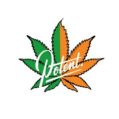 Pot Ent.