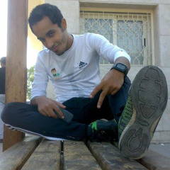 Alaa Enany