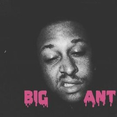 BIG ant aka A Dog