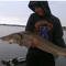 fish chase c