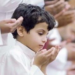 Mahmoud Abouelhassan