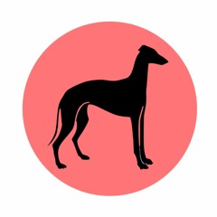 Like a Greyhound: Bored Coast Records sampler