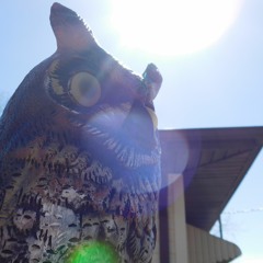 Mr.Scrubble Bubbles
