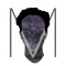 Mishok