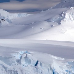 Antarctic Activity