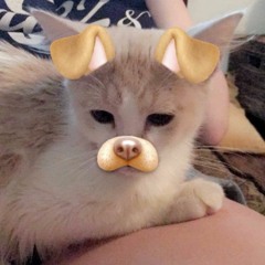 peej