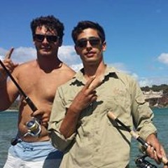 flemmo11