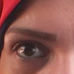 Doaa Hamdi