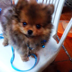 พนม ปาชำ