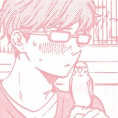 idk it's a cover of "barefoot in the park" by shiro sagisu