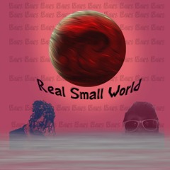 RealSmallWorld