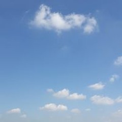 فايزه احمد