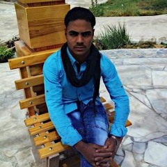 Basam Gomaa
