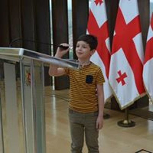 Vaxo Amiranashvili’s avatar