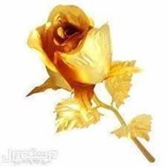 وردة من دهب