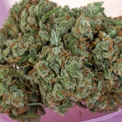 favorite fl studio contraption