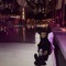 zd_free