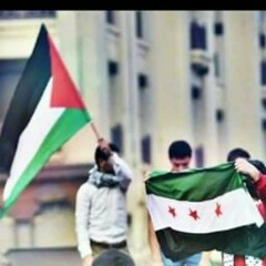‫محمد القاسم‬‎