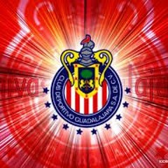 RojiBlanco11