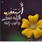 Marwa Sallam