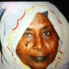 Emad Eldin Abdalla