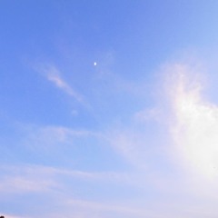 Anandi