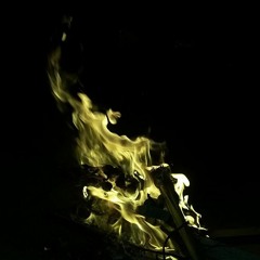 Shaikh Zeeshan Afsar