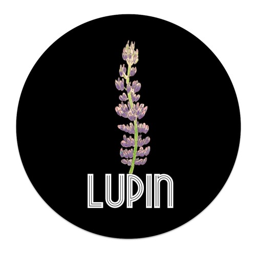 Lupin_music’s avatar